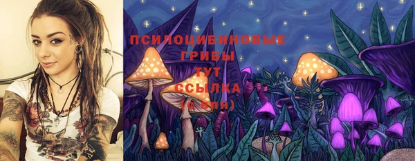 амф Балахна